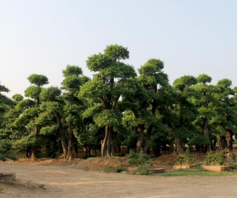 基地实景